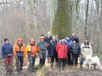 La commission bois pose devant l'arbre